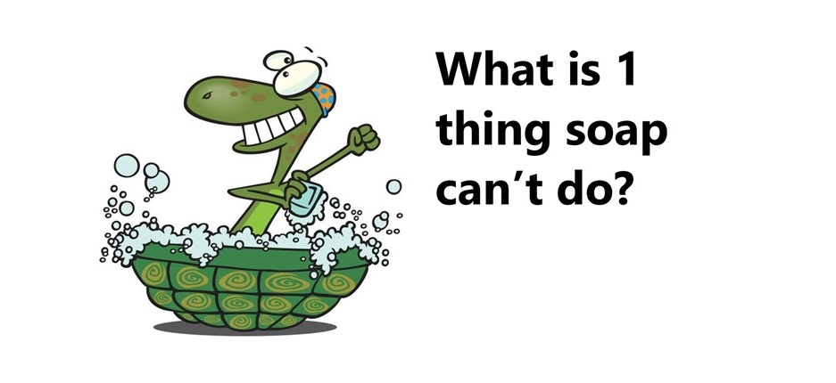 turtle having bubble bath