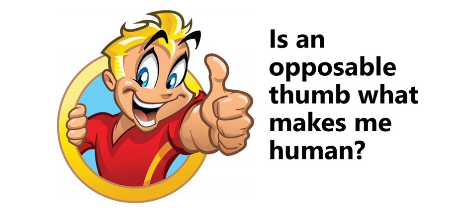 big thumbs up and grin